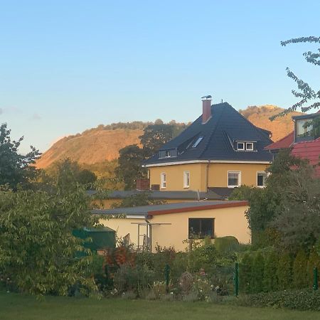 Ferienwohnung Bleicherode المظهر الخارجي الصورة